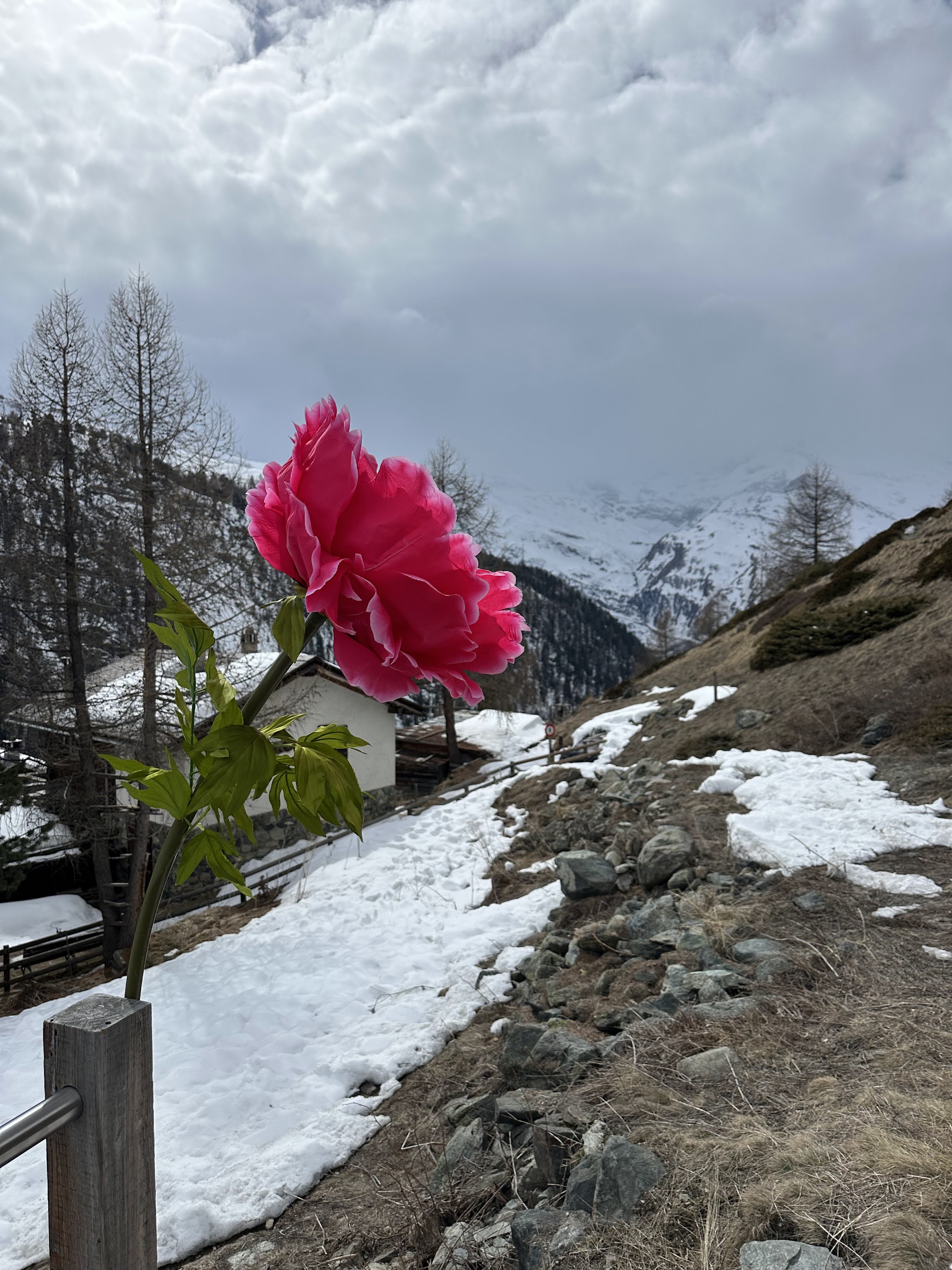 Zermatt I Foto: Andréa Reis