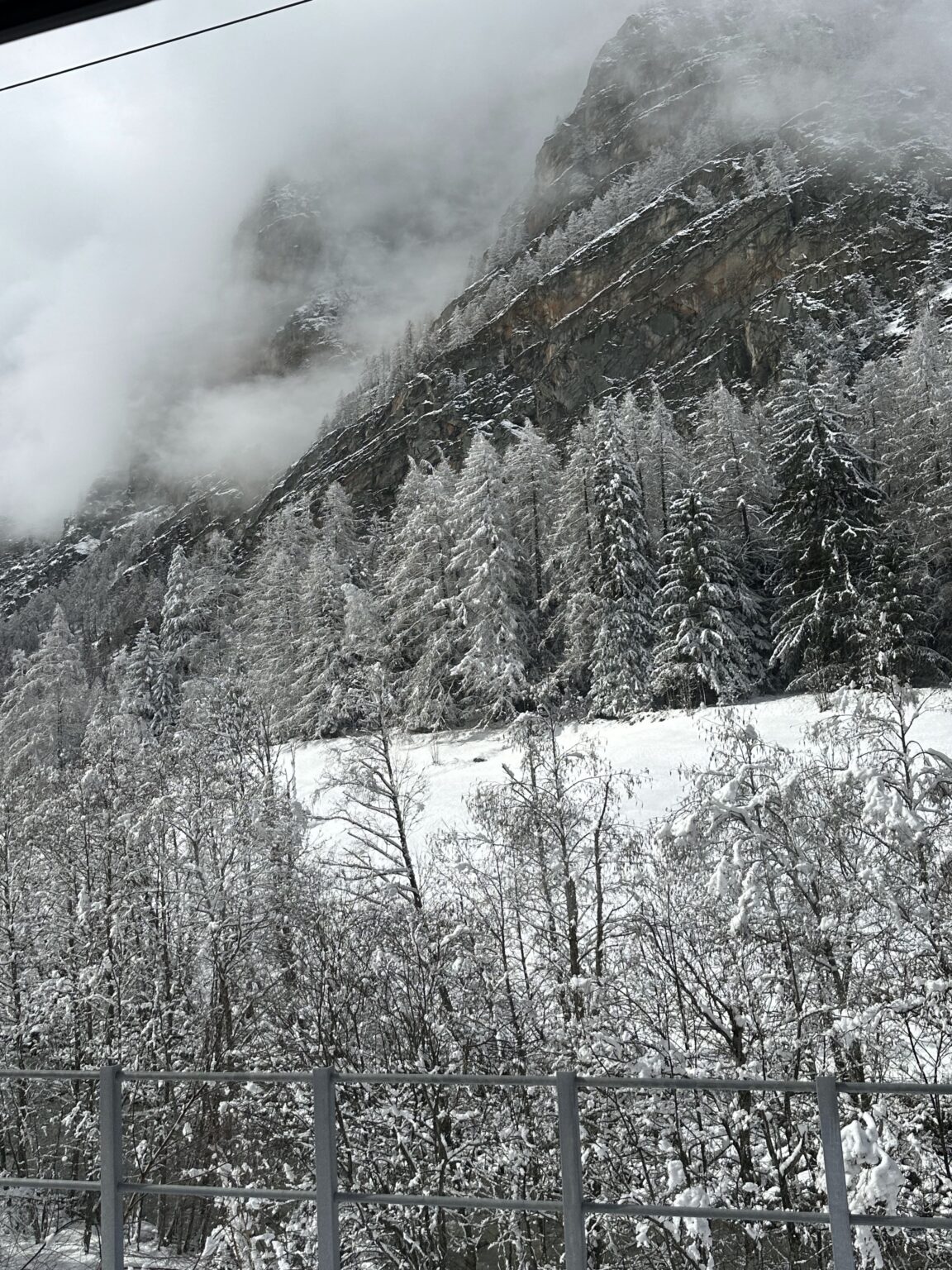 Trem panorâmico a caminho de Zermatt I Imagem: Andréa Reis