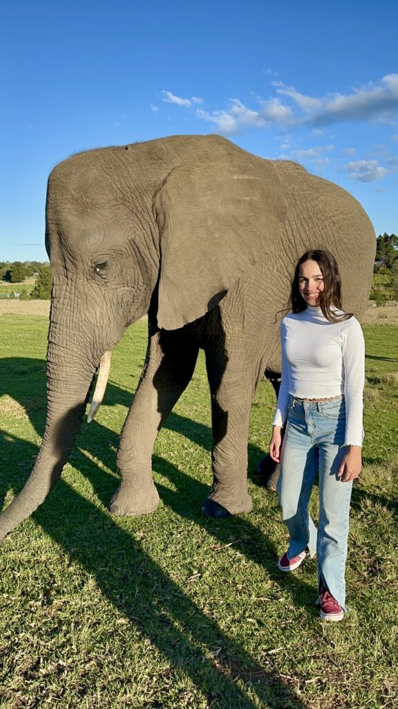 Knysna Elephant Park I Foto: Andréa Reis