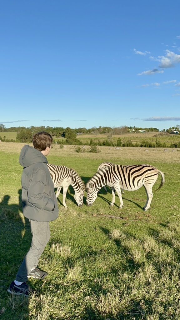 Knysna Elephant Park I Foto: Andréa Reis