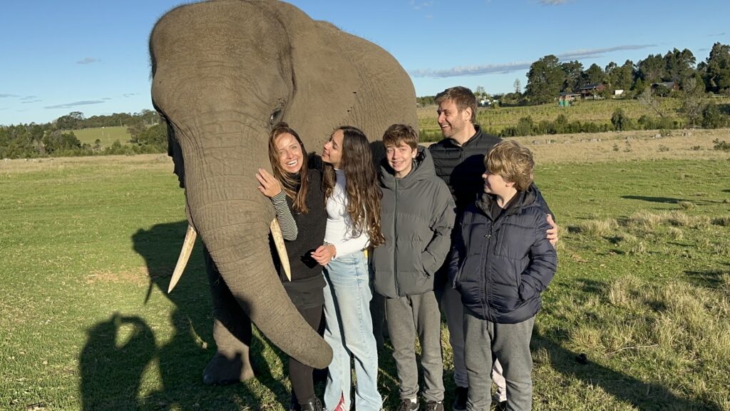 Família Elefante I Imagem: Andréa Reis