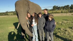 Família Elefante I Imagem: Andréa Reis