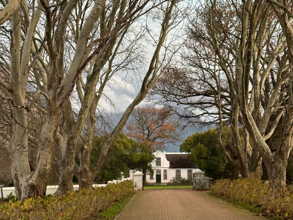 Boschendal Wine Farm I Foto: Andréa Reis