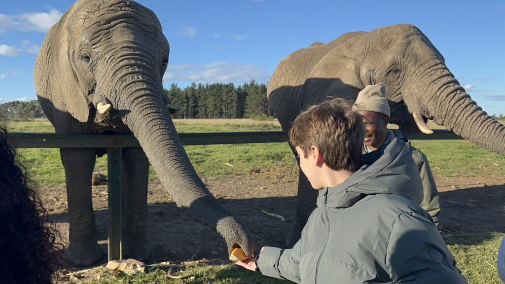 Knysna Elephant Park I Foto: Andréa Reis